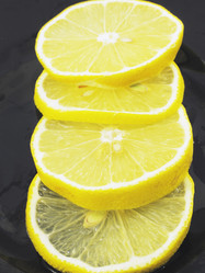 Similar image 349584