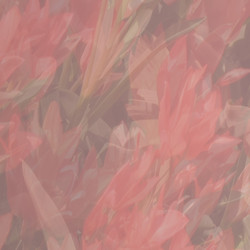 Similar image 349589