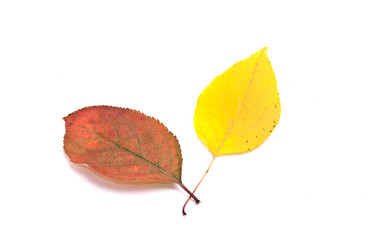 Similar image 349661