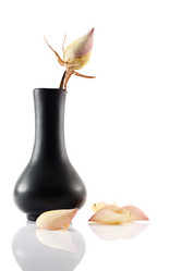 Similar image 349700