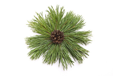 Similar image 349861