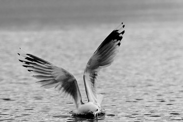 Similar image 349867