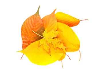 Similar image 349879