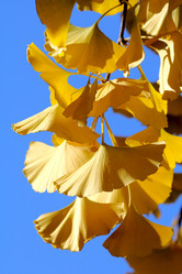 Similar image 349911