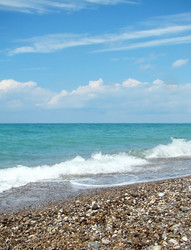 Similar image 349919