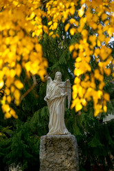 Similar image 349922