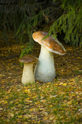 Similar image 349923