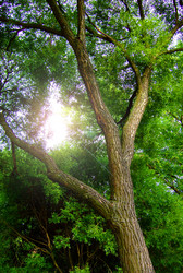 Similar image 349924