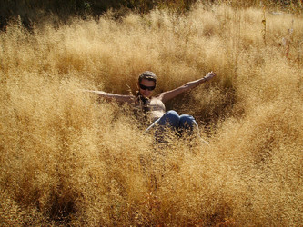 Similar image 349972