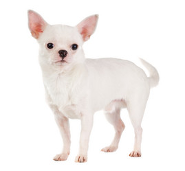 Similar image 350129