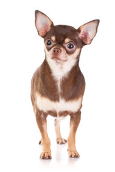 Similar image 350130