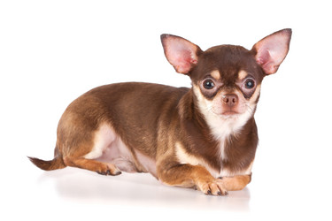 Similar image 350132