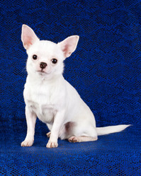 Similar image 350134