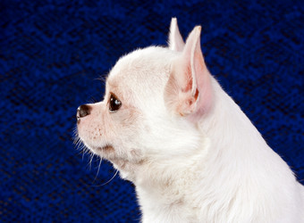 Similar image 350135