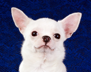 Similar image 350136