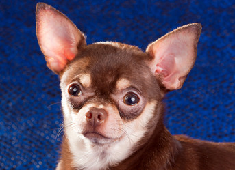 Similar image 350141