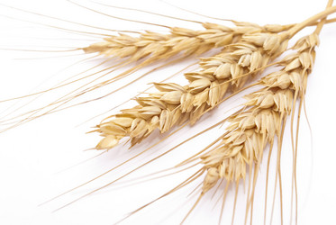 Similar image 350171