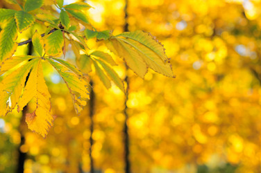 Similar image 350174