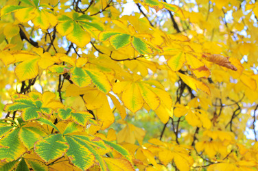 Similar image 350175