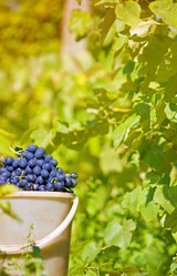 Similar image 350219