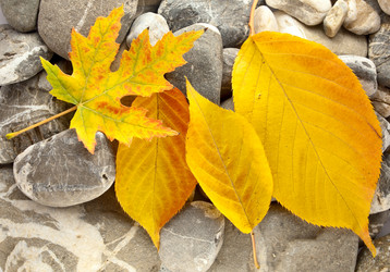 Similar image 350230