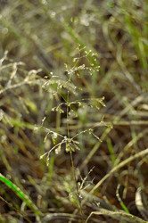 Similar image 350231