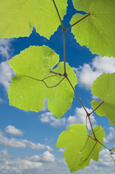 Similar image 350233