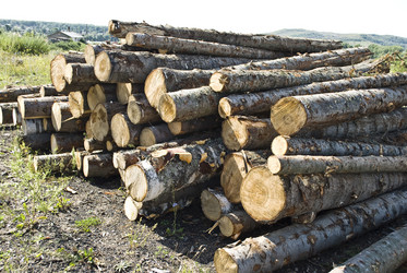 Similar image 350236