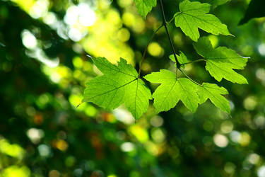 Similar image 350252