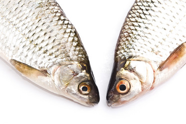 Similar image 350293