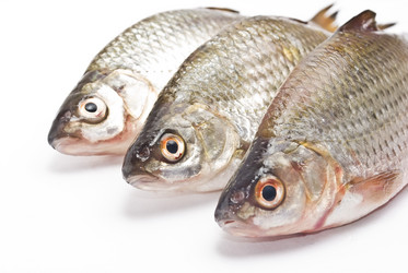 Similar image 350294