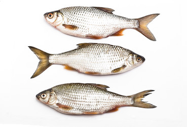 Similar image 350296