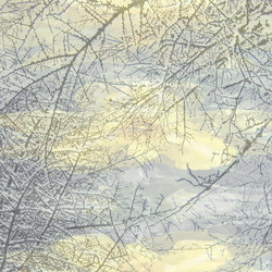 Similar image 350347