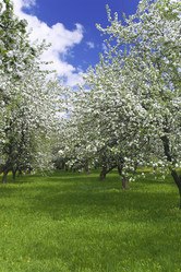 Similar image 350381