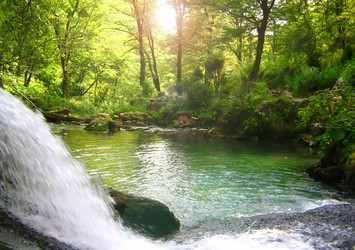 Similar image 350431