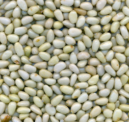 Similar image 350459