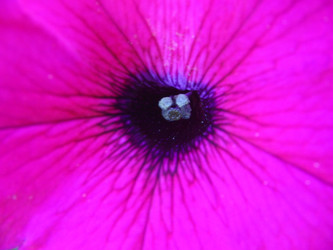 Similar image 350474