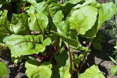 Similar image 350480