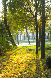 Similar image 350493