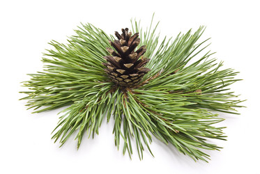 Similar image 350514