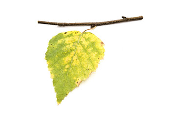 Similar image 350555