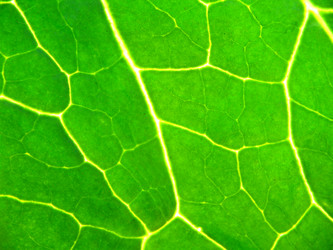 Similar image 350556