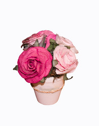 Similar image 350560