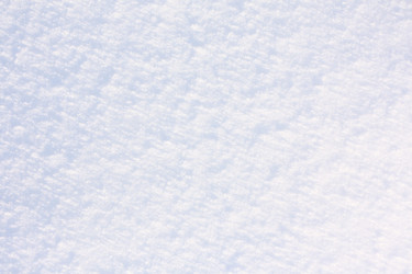 Similar image 350647