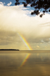 Similar image 350664