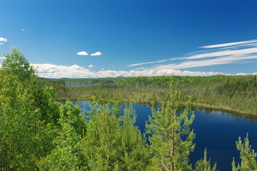 Similar image 350698