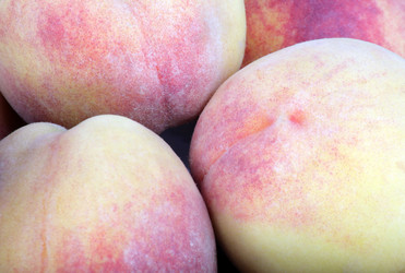 Similar image 350715