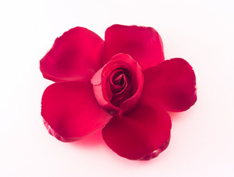 Similar image 350738