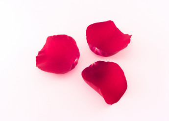 Similar image 350739