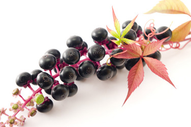 Similar image 350769